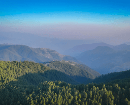 Uncover the Untouched Beauty of Green Valley, Kufri